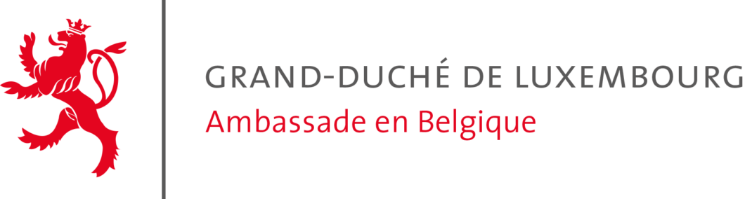 GDL_Amb_Belgique logo-fr
